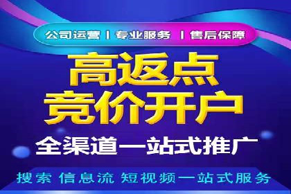 案例分析：SEM推广代运营效果